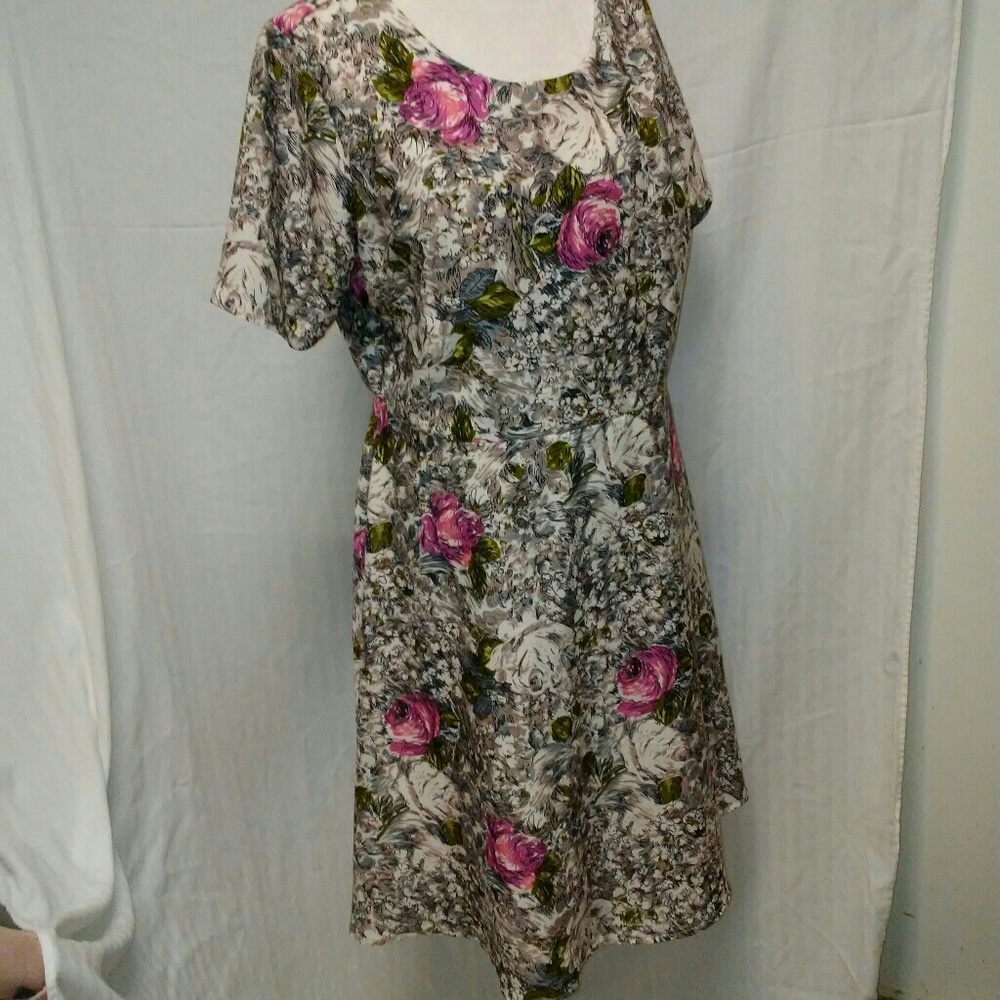 NWT size 16 a-line fully lined floral print dress
